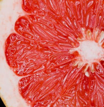 Load image into Gallery viewer, LUX Oils

